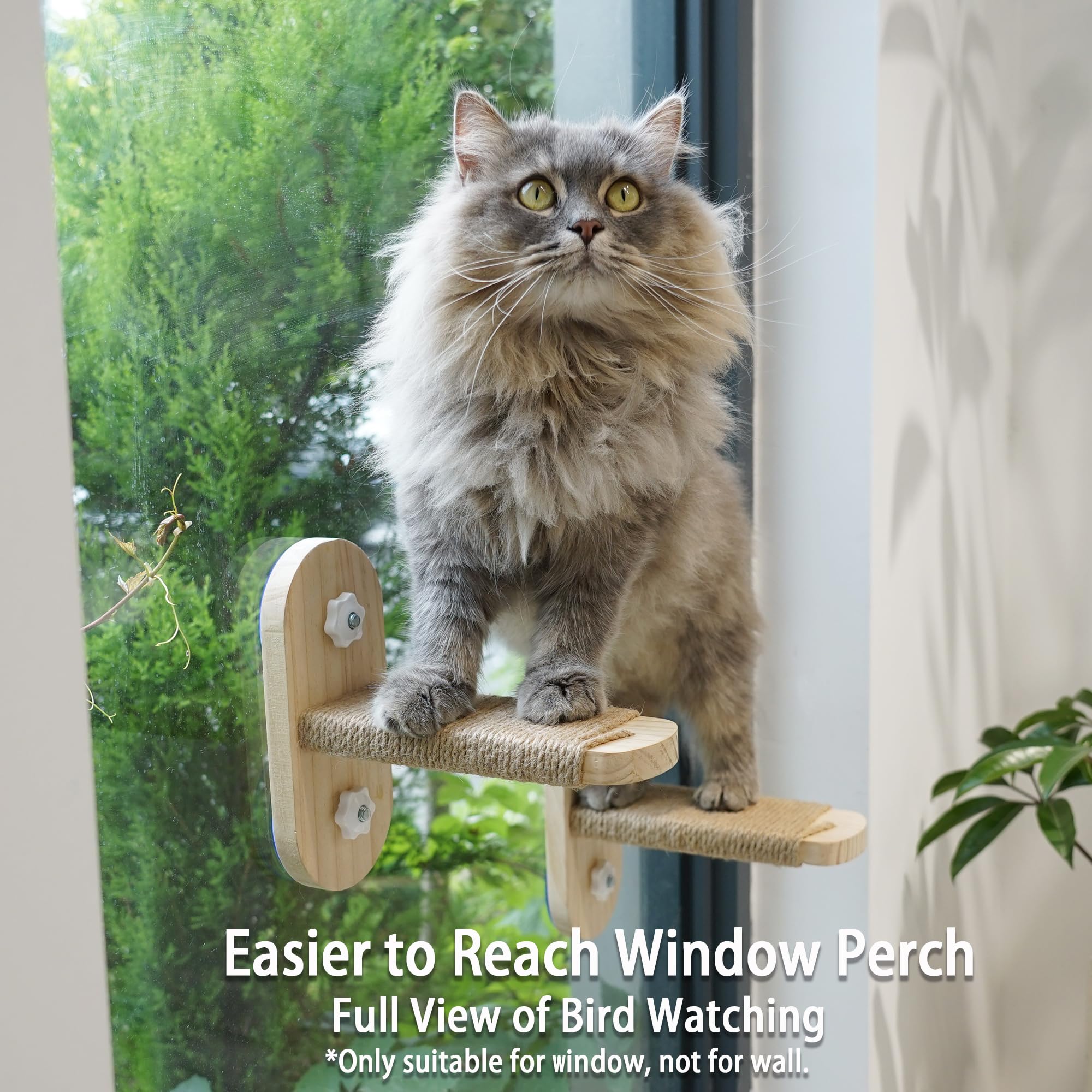 PETKARAY Cat Window Shelf enhances bird-watching moments with stable, elevated seating.