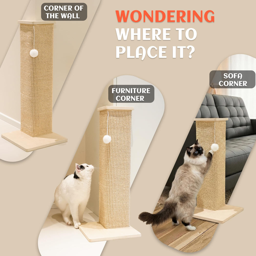 PETKARAY catnip included option to entice reluctant scratchers.