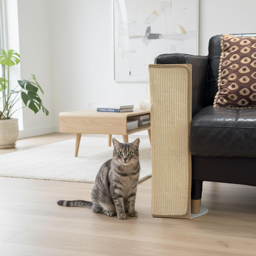 PETKARAY included catnip option invites cats.