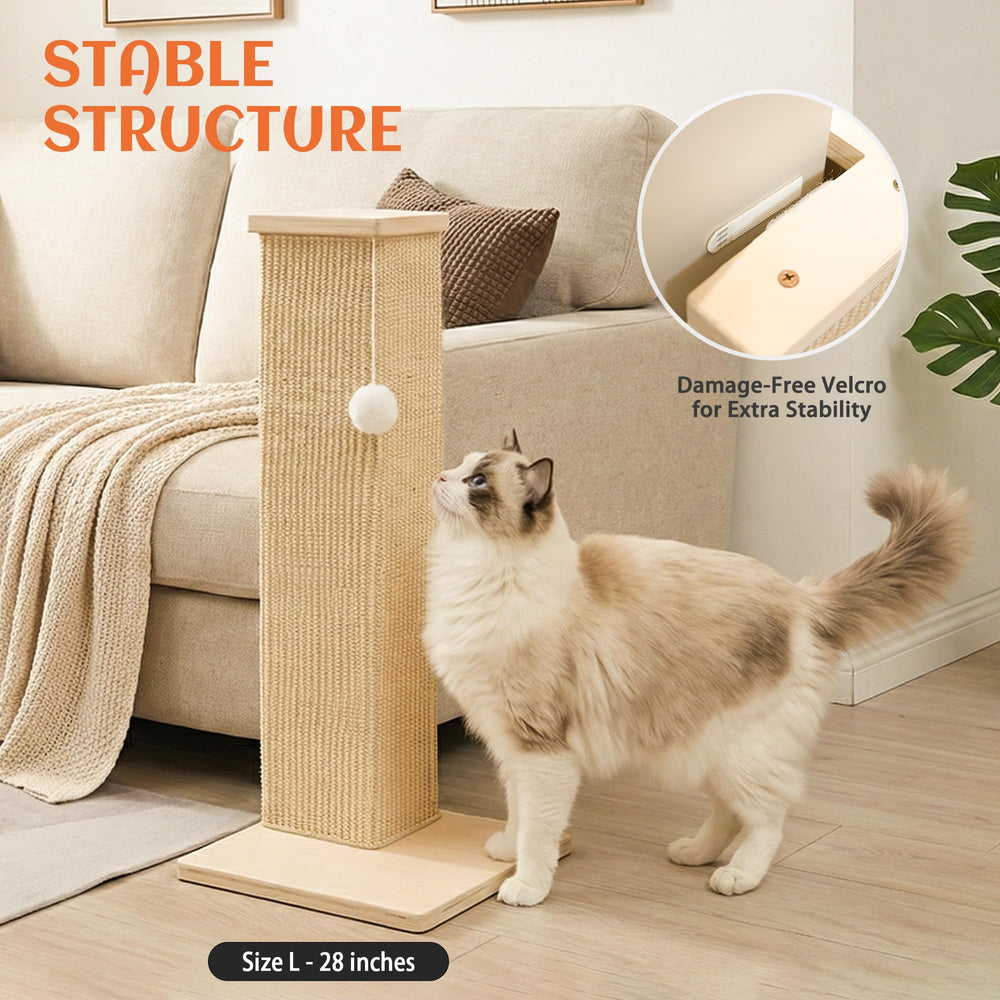 PETKARAY easy assembly in minutes with clear instructions.