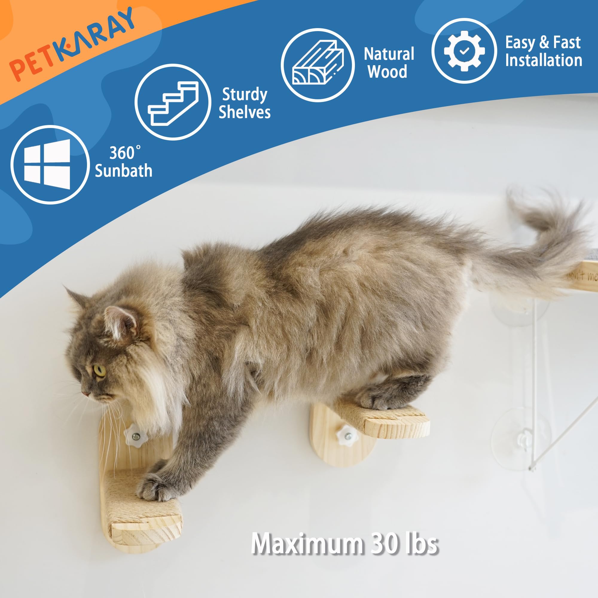 PETKARAY Hidden Suction Design keeps installation neat while supporting a steady cat perch.