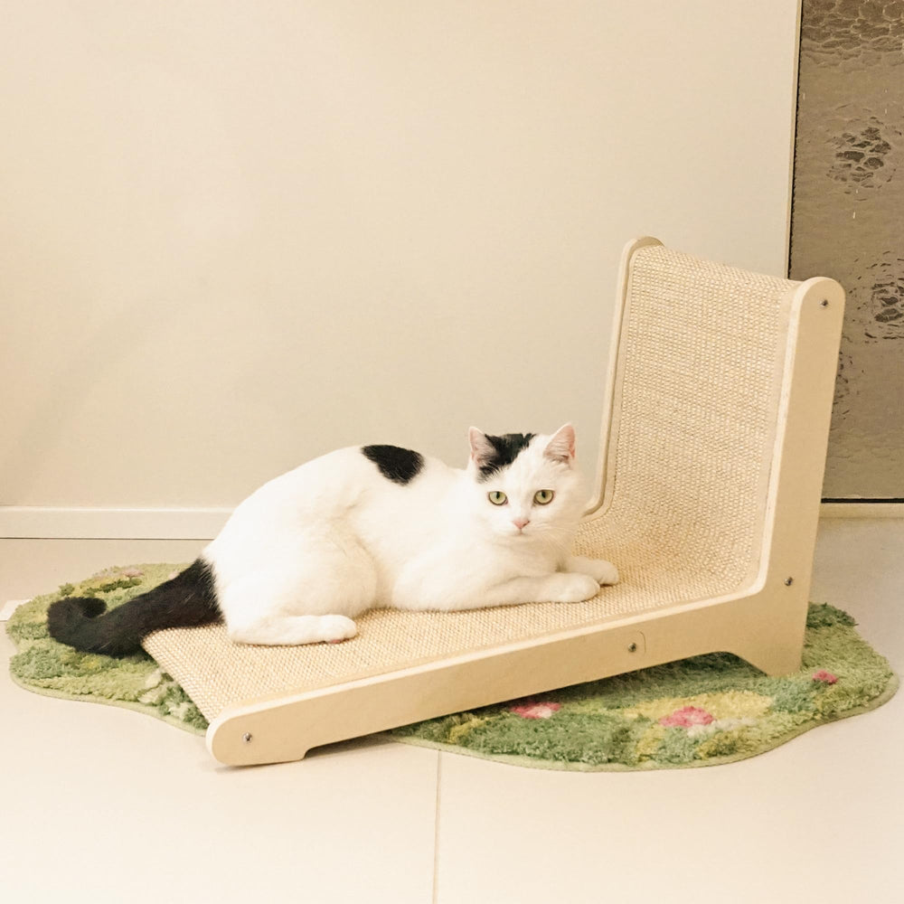 PETKARAY ideal for indoor cats at home.
