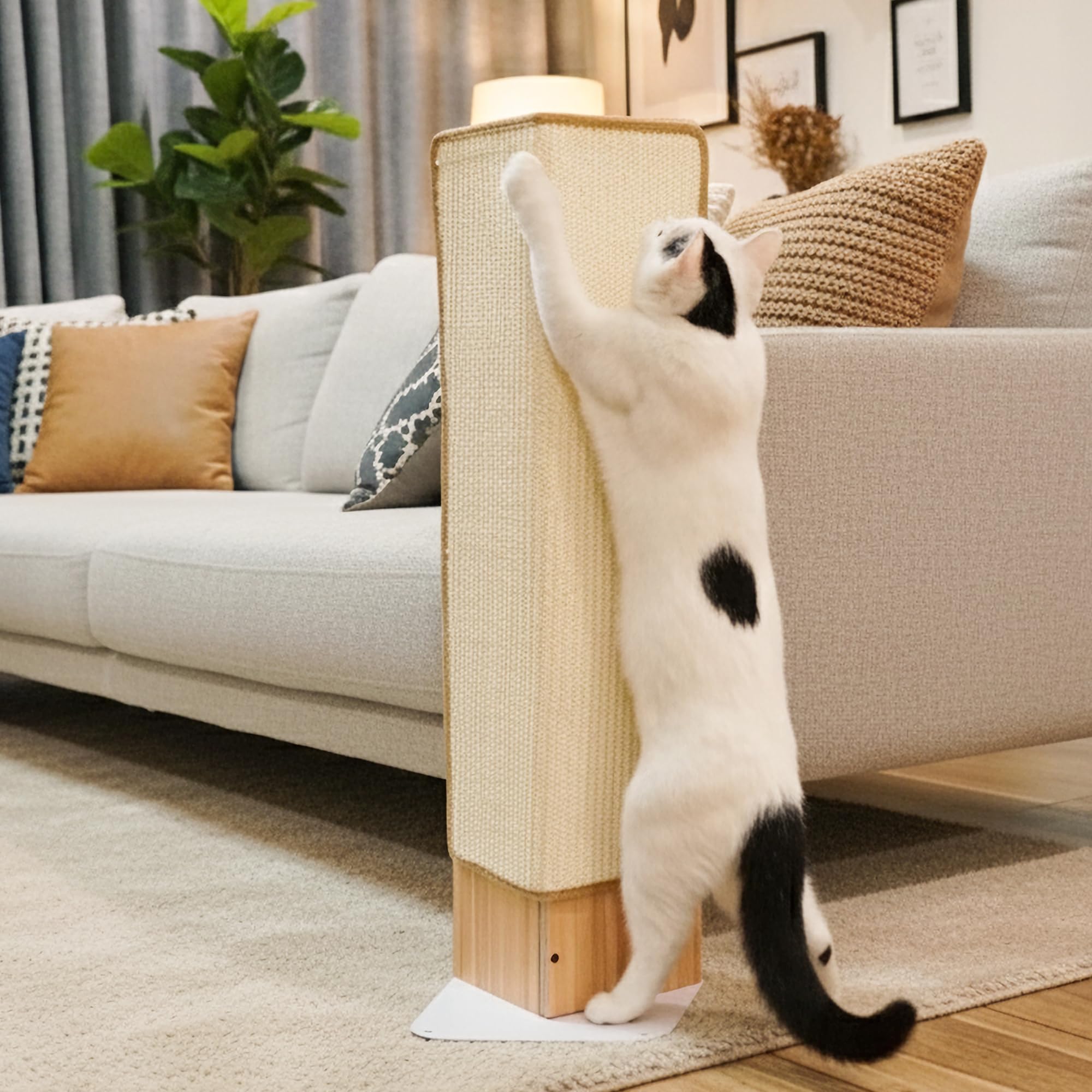 PETKARAY 28-inch scratch area suitable for larger cats