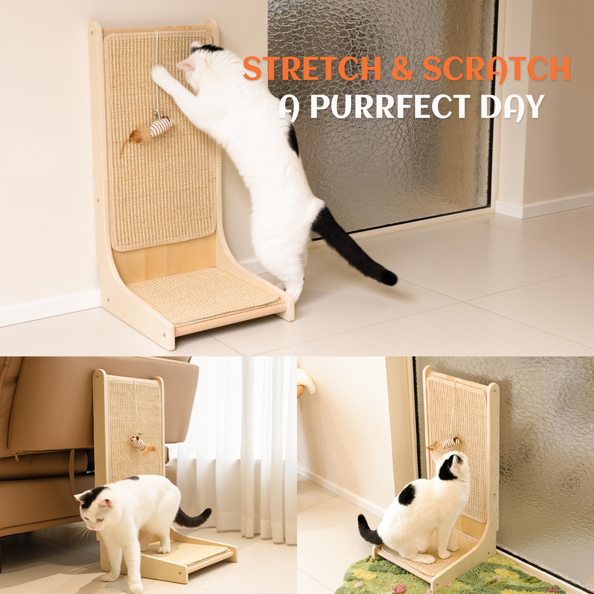 PETKARAY includes catnip and plush mouse toy to attract cats.