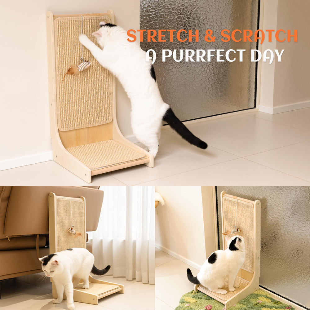 PETKARAY includes catnip and plush mouse toy to attract cats.