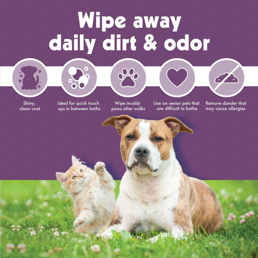 Petkin 7x5-inch wipes sized for broad ear areas.