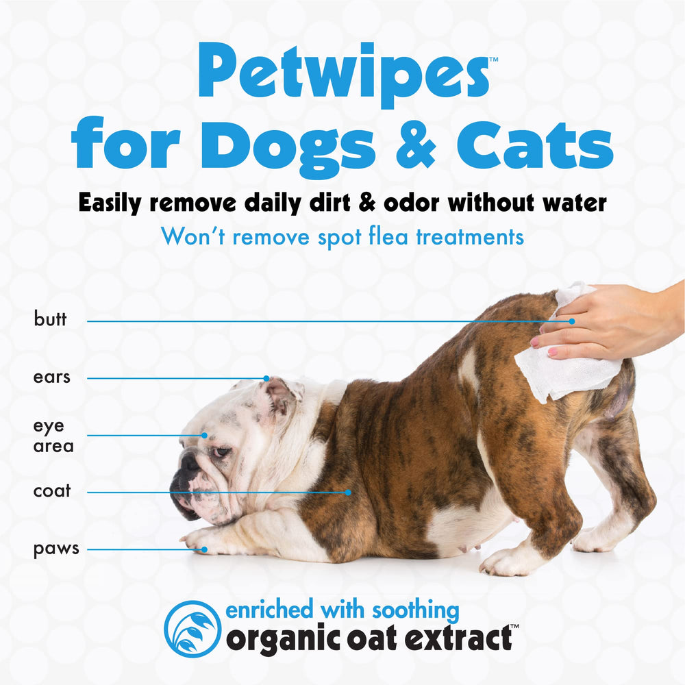 Petkin Big N' Thick wipes for face and eyes, gentle around sensitive areas.