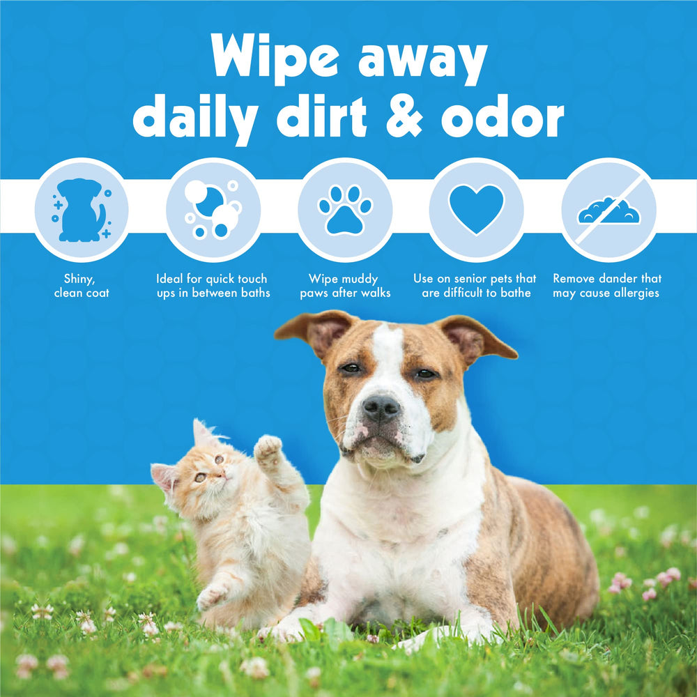 Petkin Big N' Thick wipes are travel-friendly for quick refreshes.
