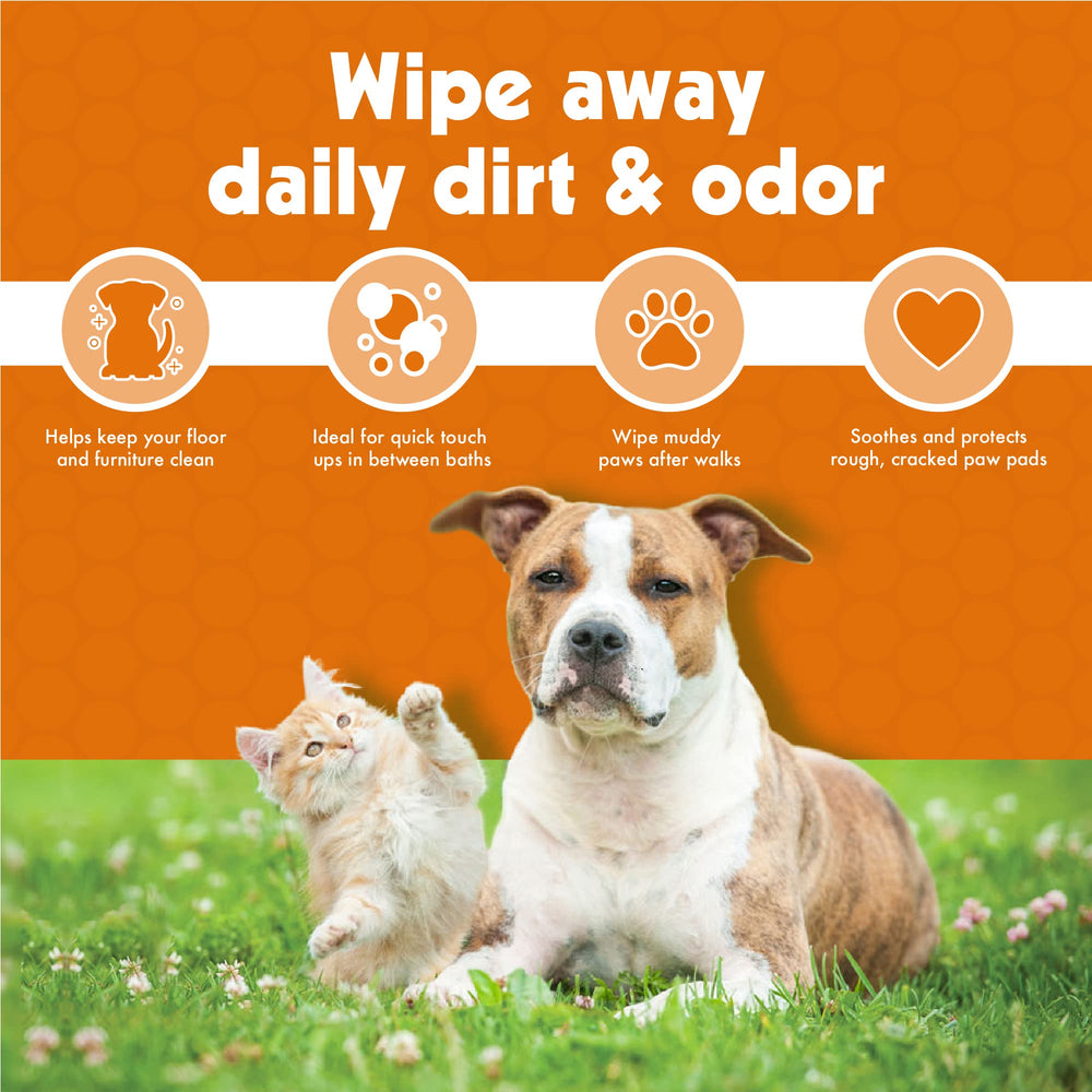 Petkin paw wipes suitable for face or body for quick refresh.