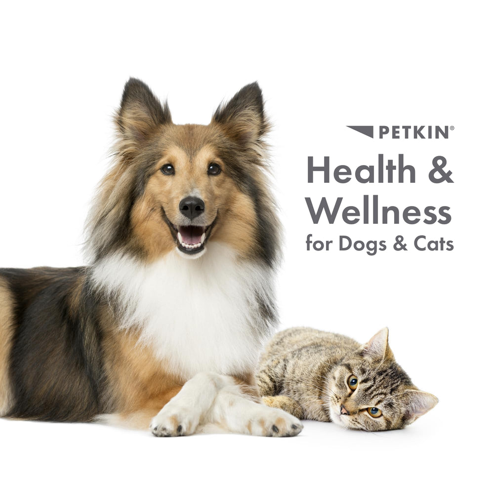 Petkin Fingertip Tooth Wipes pack of 100 for home or travel use.