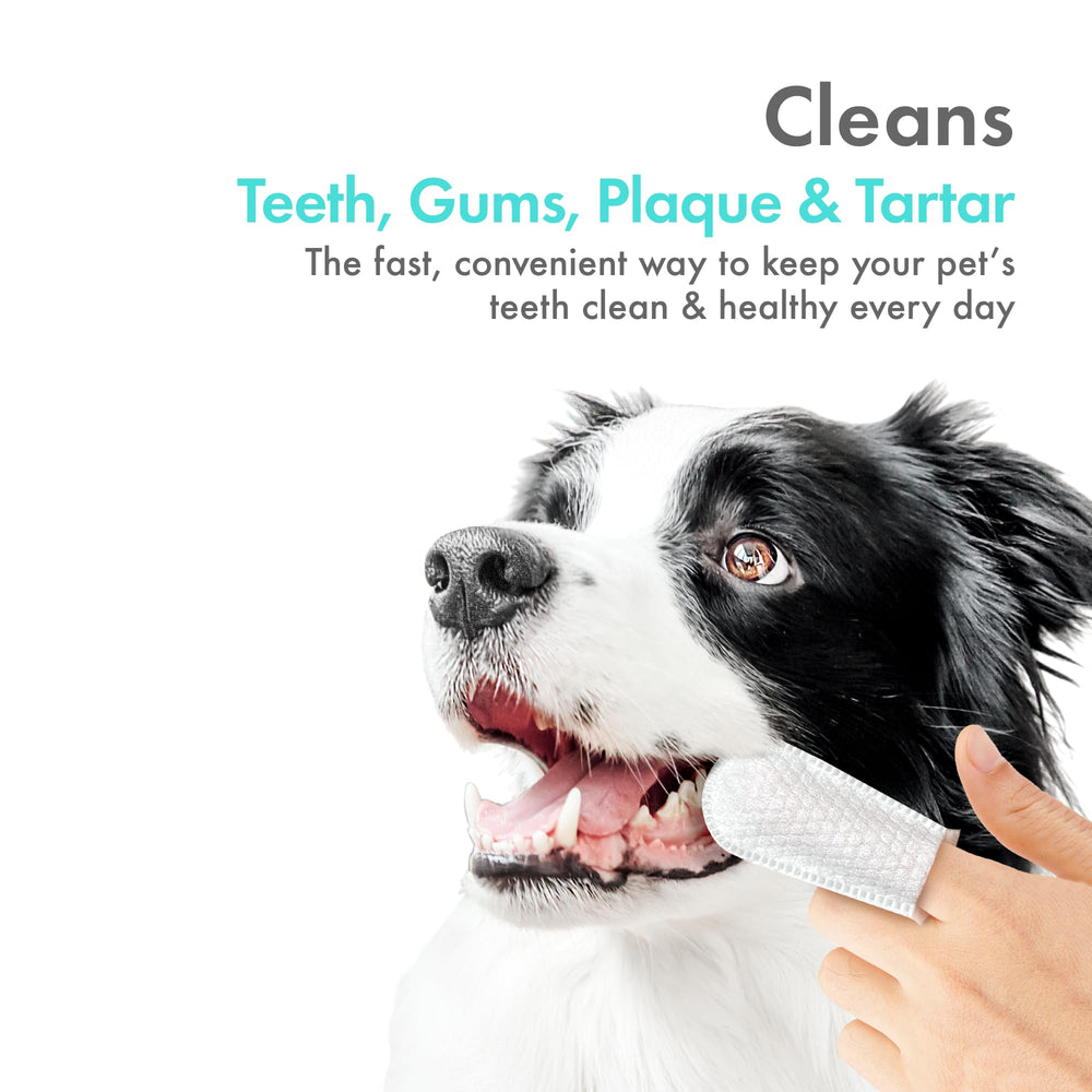 Petkin Fingertip Tooth Wipes with aloe vera and mint for gentle care.