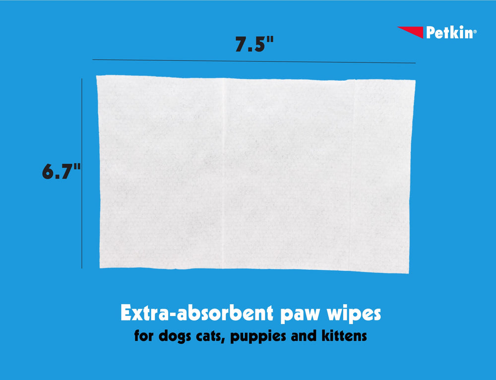 Petkin Paw Wipes Plus travel-friendly two-pack for on-the-go pet grooming.