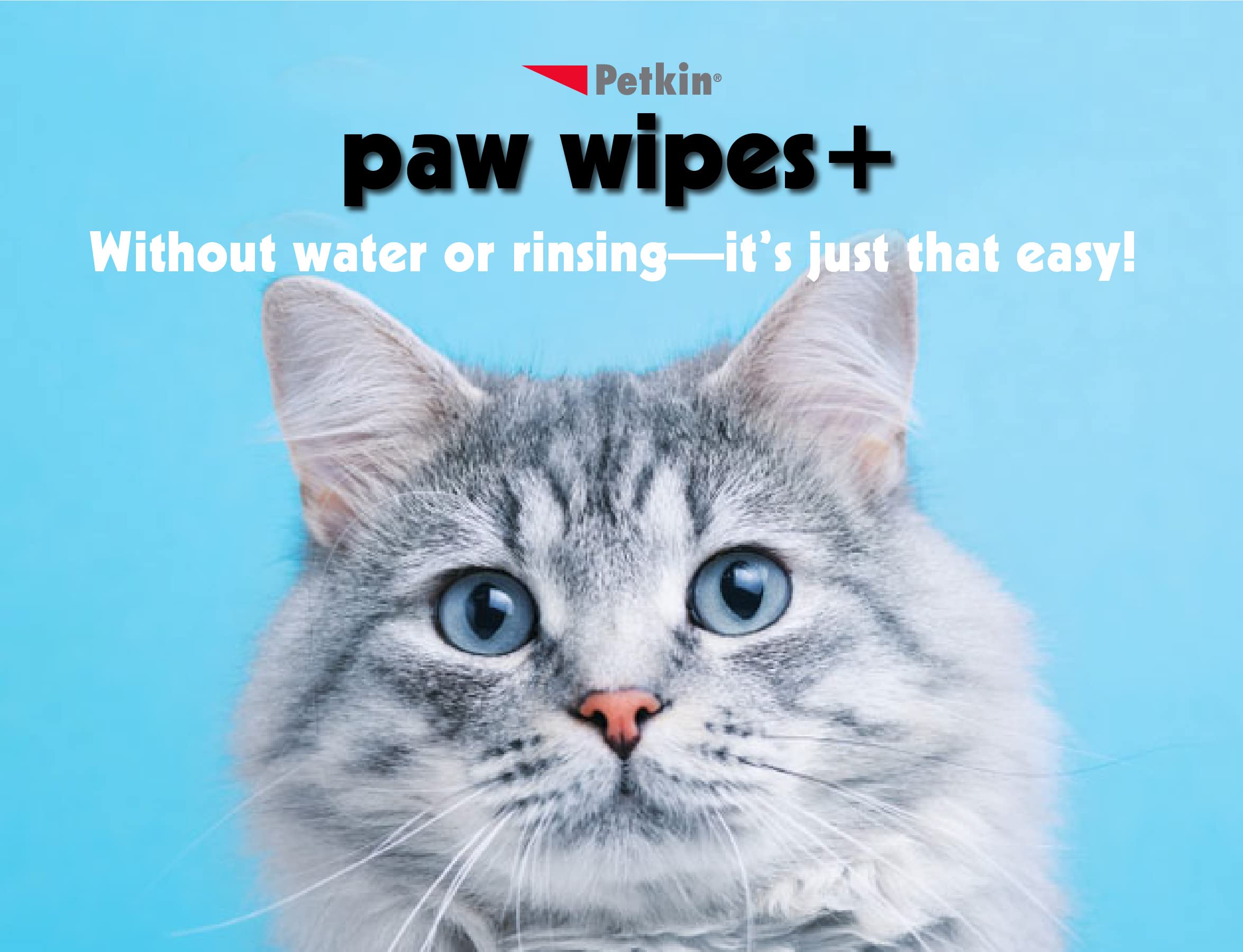 Petkin Paw Wipes Plus no-water-use wipes for easy cleanup anywhere.
