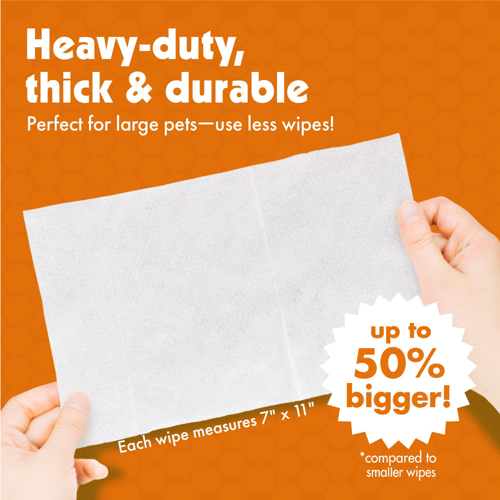 Travel-friendly design keeps wipes handy at home, in the car, or on trips.