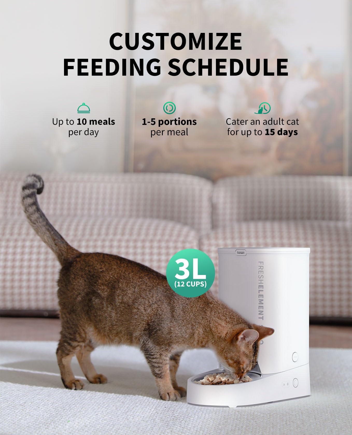 PETKIT 10 meals-per-day schedule supports flexible routines.