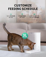 PETKIT 10 meals-per-day schedule supports flexible routines.