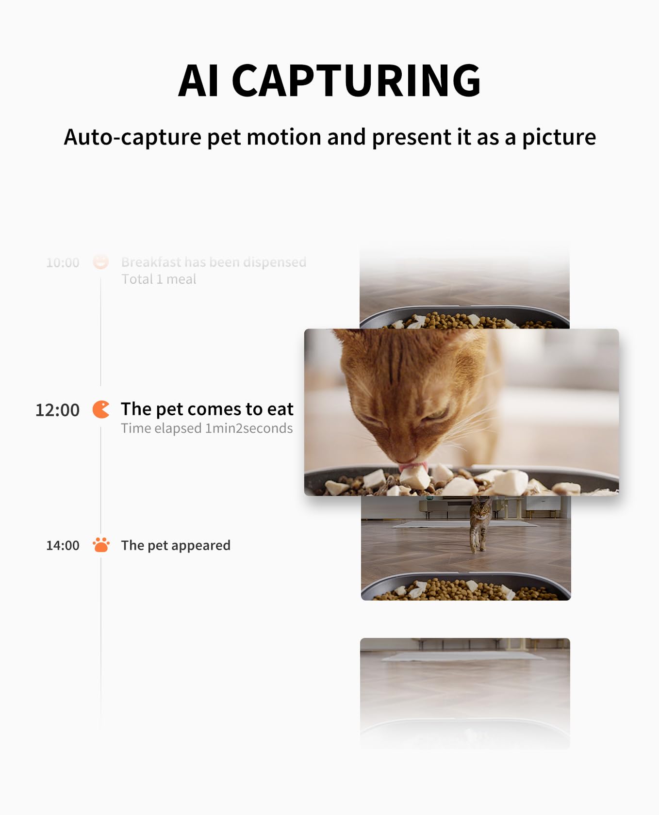 PETKIT feeder with night vision camera for clear nocturnal pet updates.