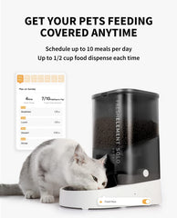 PETKIT freshness system close up emphasizes desiccant and sealing for dry kibble.