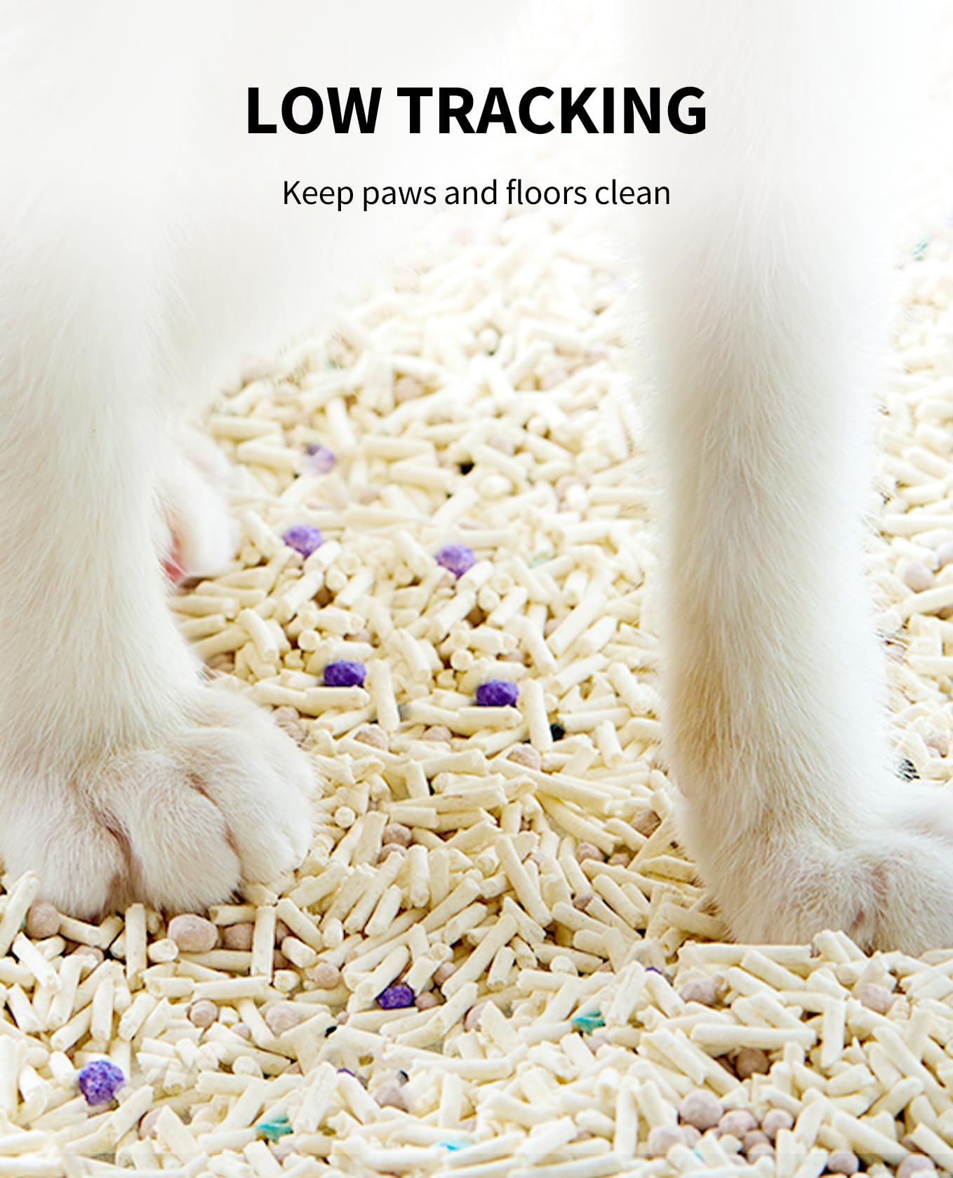 PETKIT ClumpPlus activated carbon odor control demonstrates fresher box experience