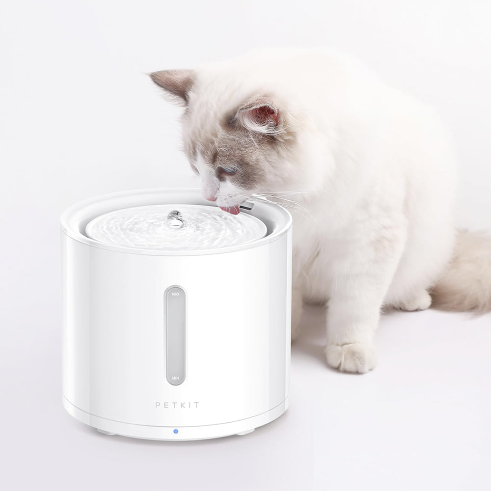 PETKIT EVERSWEET Solo 2 two-liter capacity keeps pets hydrated longer.