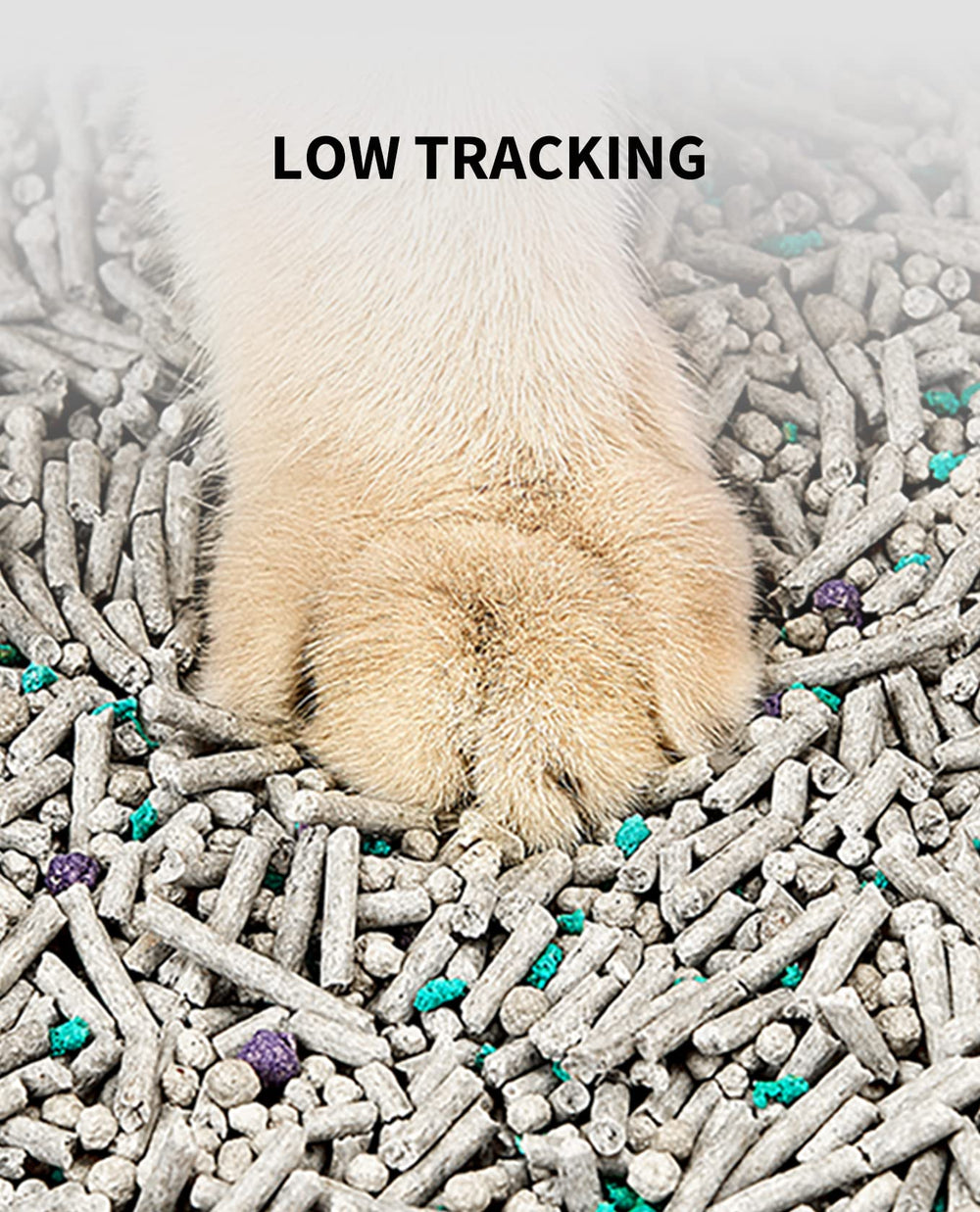 PETKIT dust-free litter with activated carbon reducing airborne dust