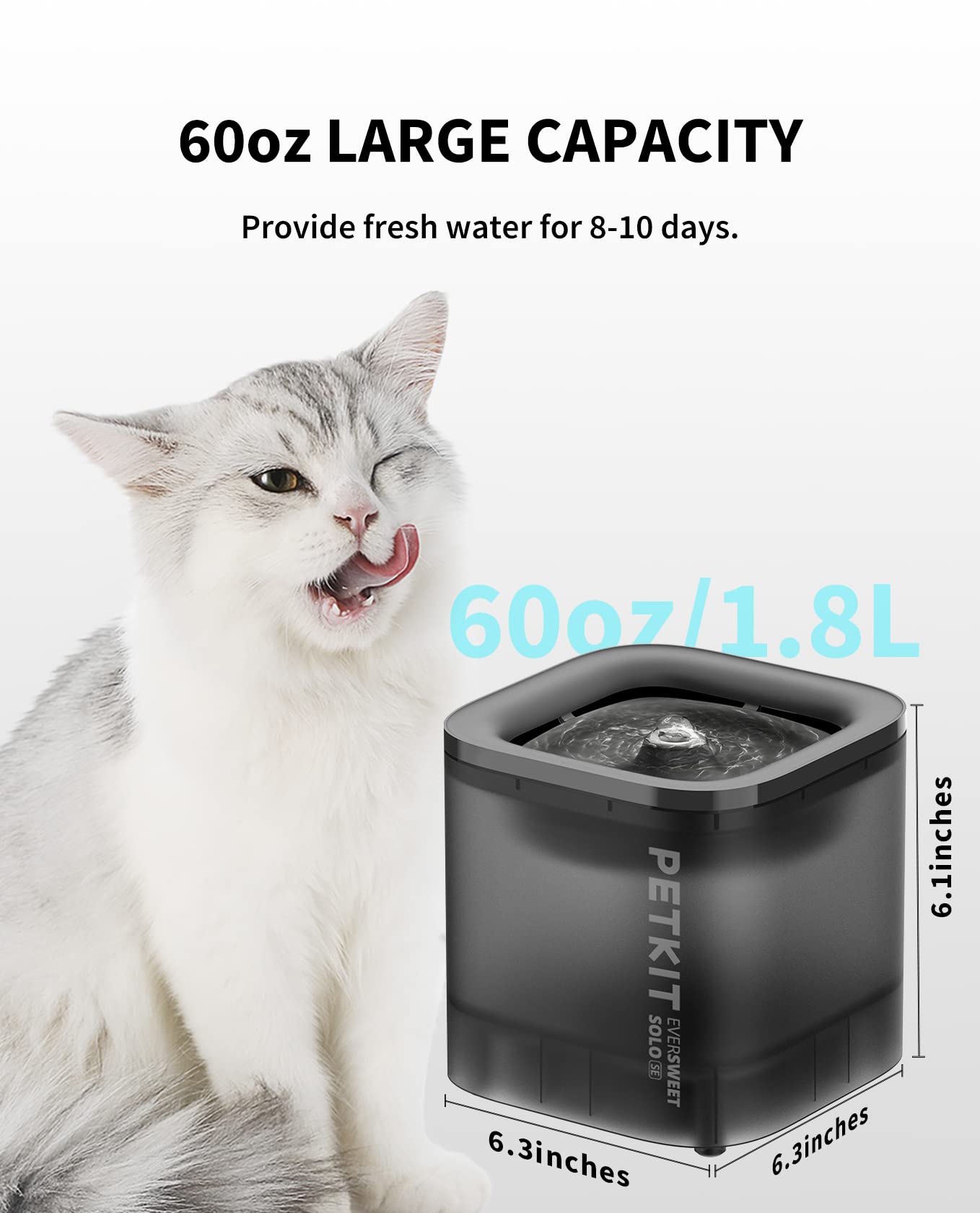 Detachable water tank and base enable easy filling and cleaning.
