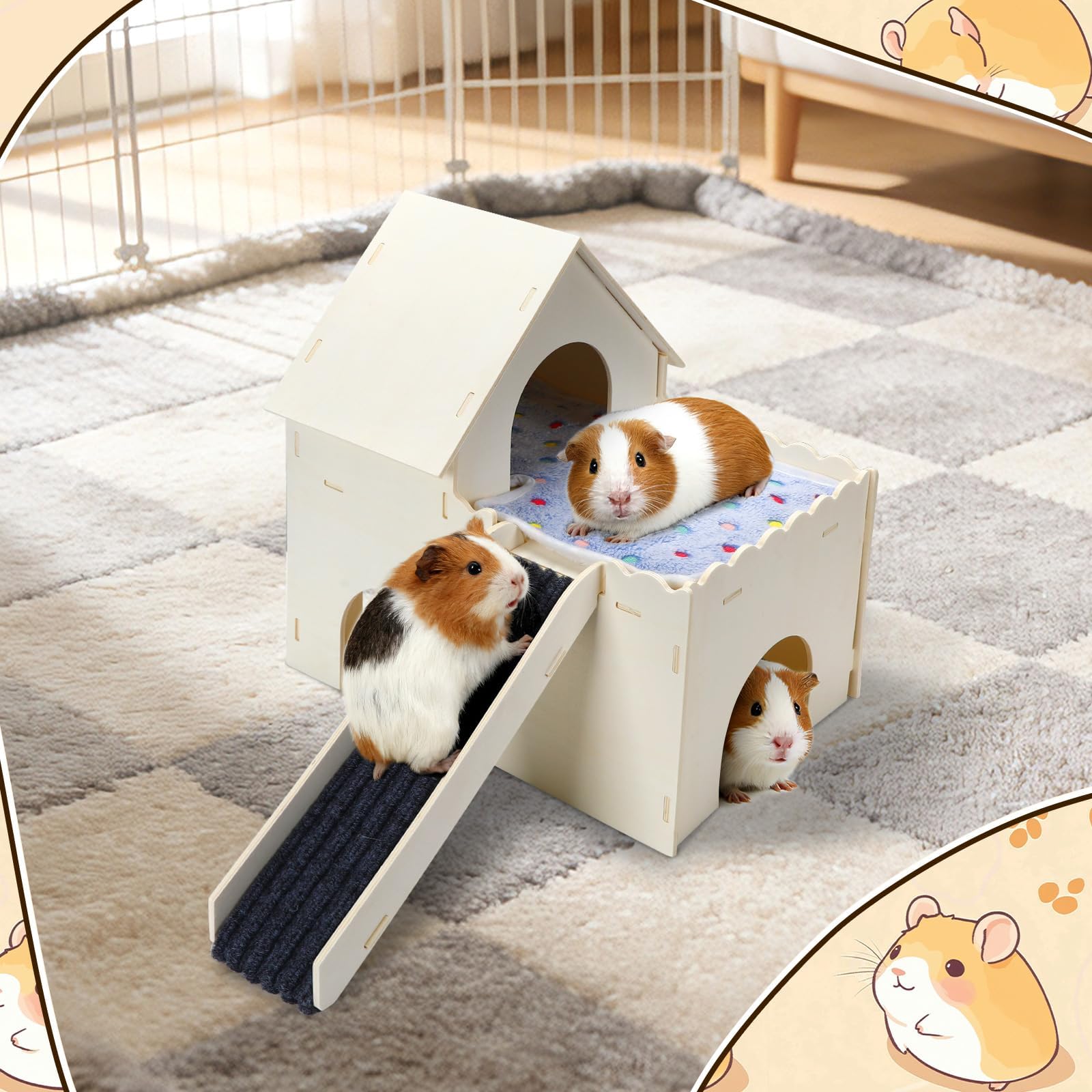 PETKNOWS Guinea Pig Hideout Assembly demonstrates simple setup