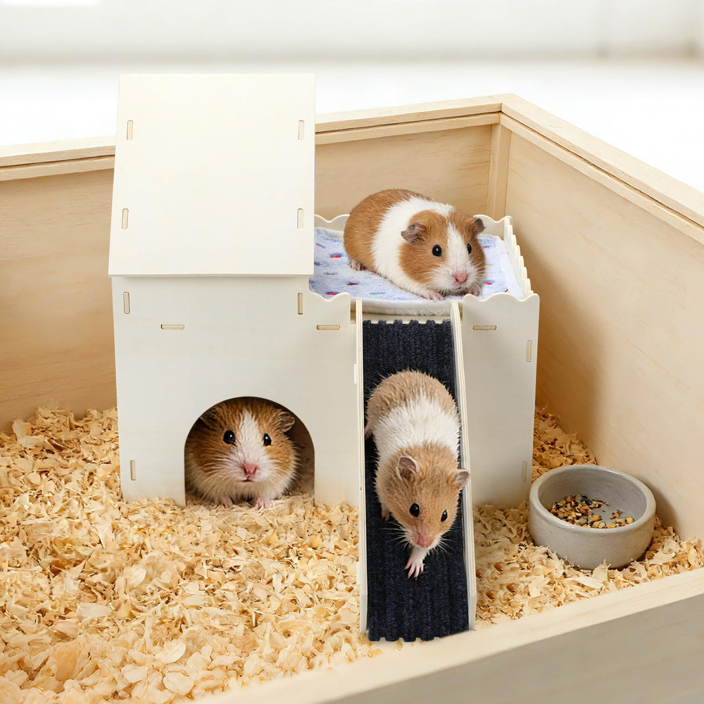 PETKNOWS Guinea Pig Hideout Dimension View shows the 38x35x24 cm footprint for space planning
