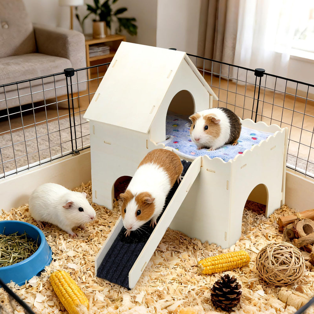 PETKNOWS Guinea Pig Hideout Multi-Use demonstrates versatile rest and toy space