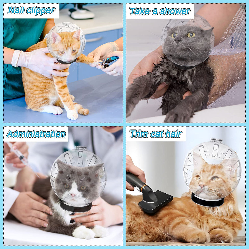PETKNOWS two-lobe link design fits cats and small dogs securely.