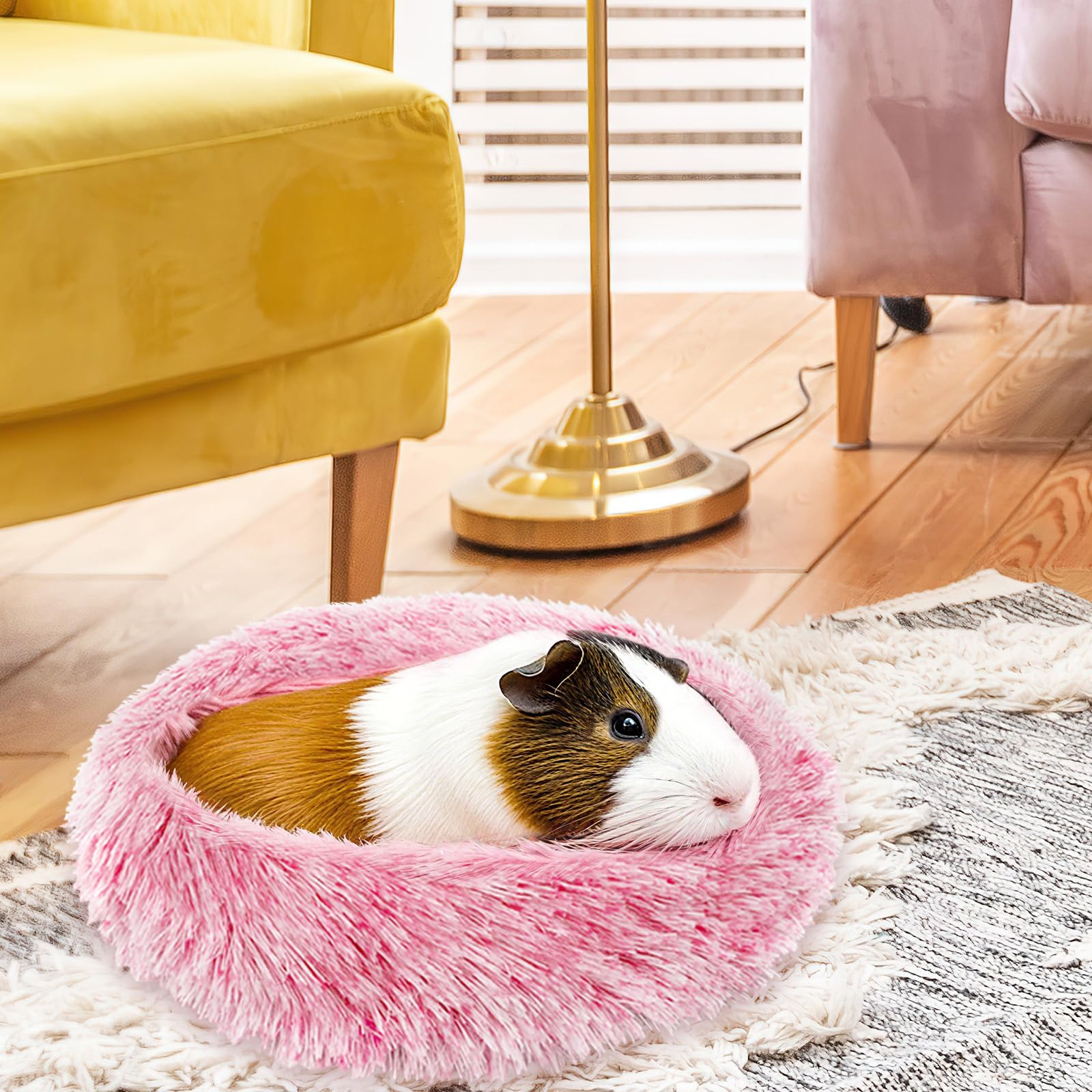Petknows two-pieces pack display demonstrates versatile use for multiple small pets.