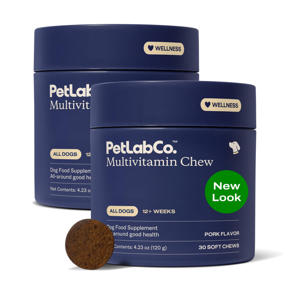 PetLab Co. 22-in-1 dog multivitamin bottle supports daily wellness and vitality.