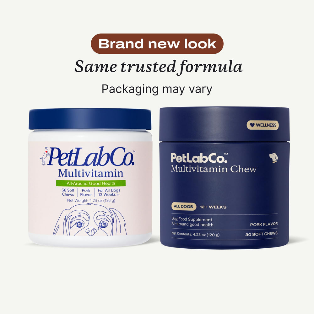 PetLab Co. pork-flavor chew shown, tasty daily support for skin and coat.