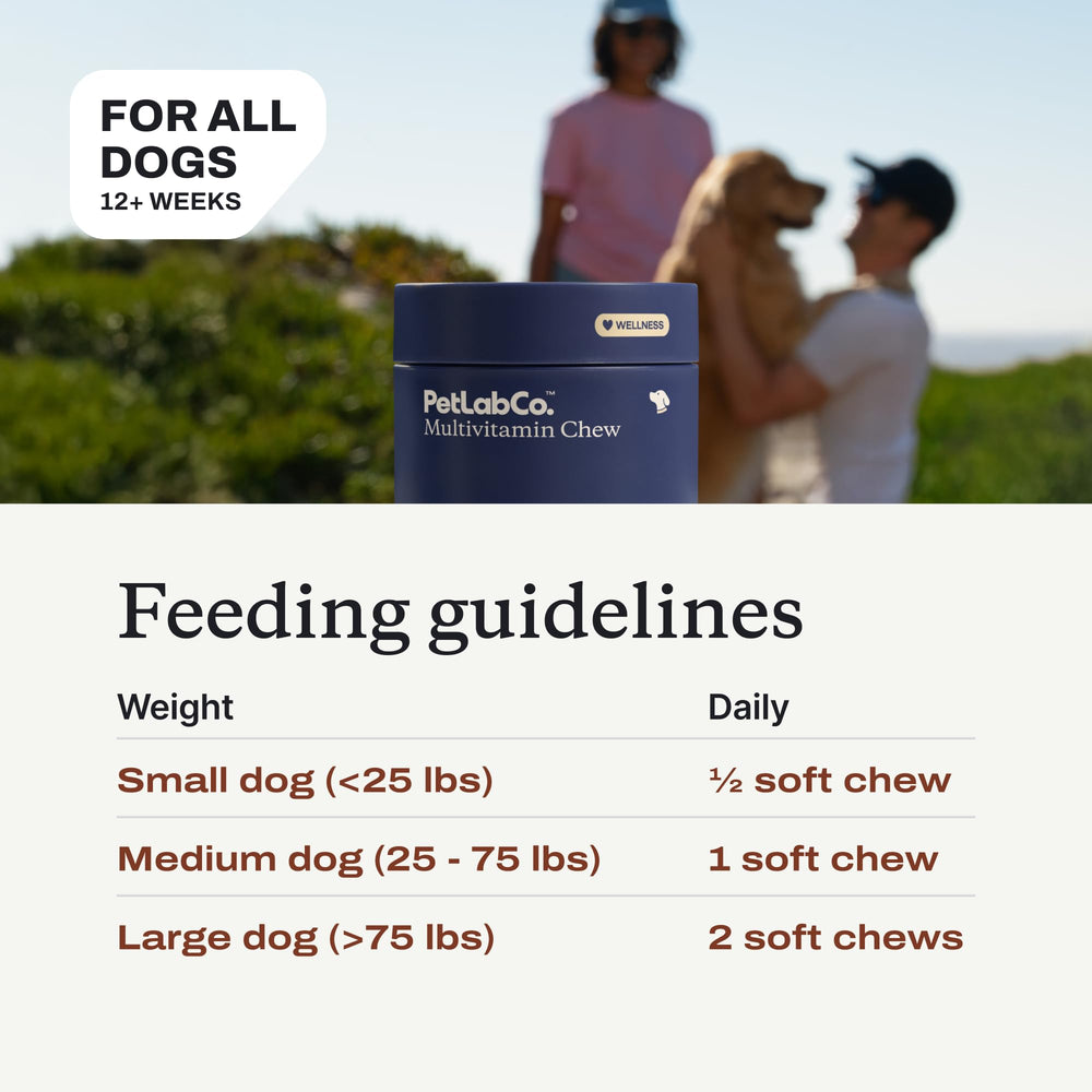 PetLab Co. 22-in-1 dog multivitamin with dog-friendly chews for active pups.