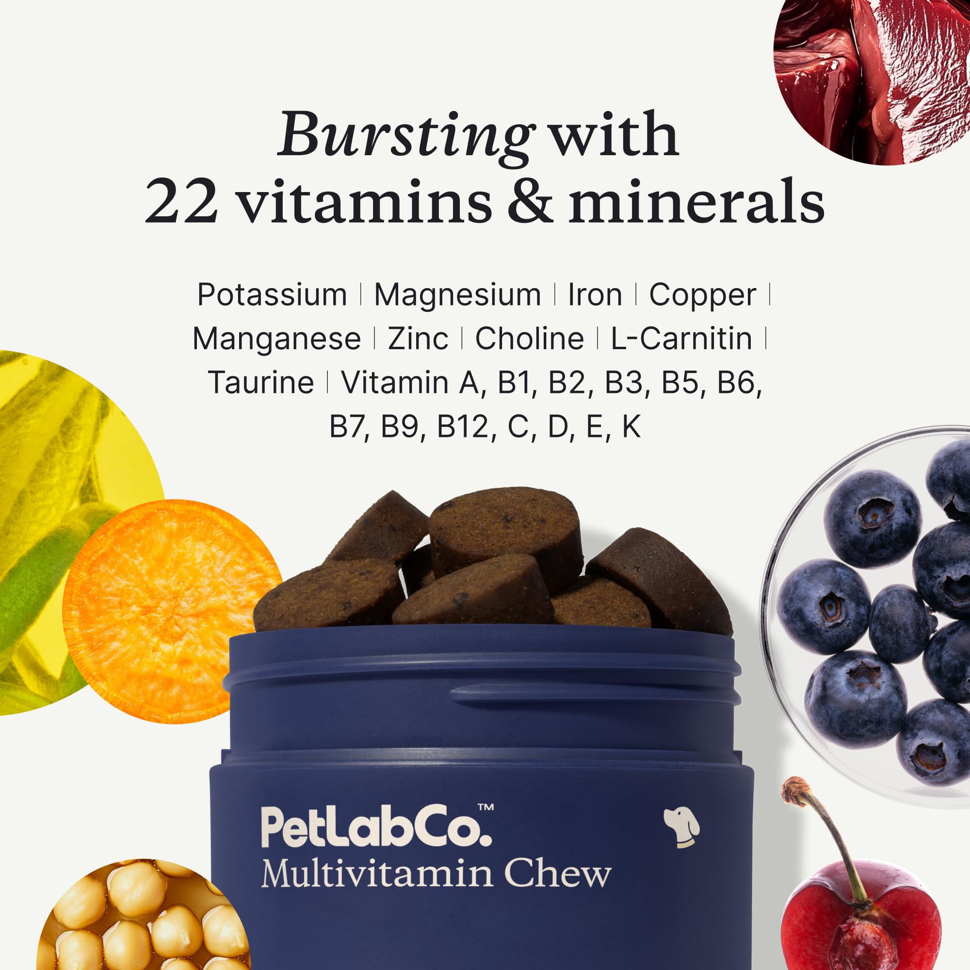 PetLab Co. 22-in-1 pack-shot highlights value of the 2-pack for ongoing use.