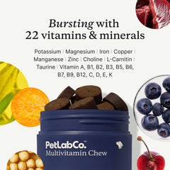 PetLab Co. 22-in-1 pack-shot highlights value of the 2-pack for ongoing use.