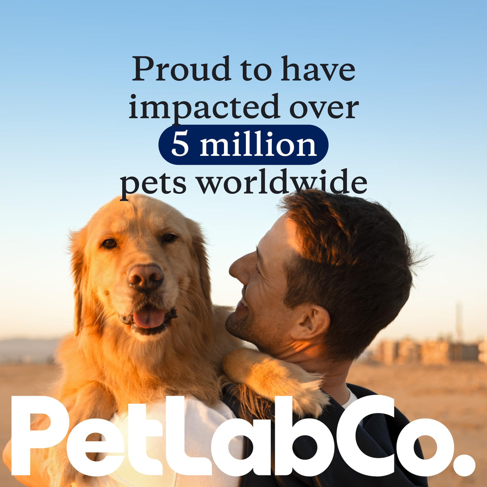 PetLab Co daily probiotic chews with paw-friendly design, ideal for large dogs.