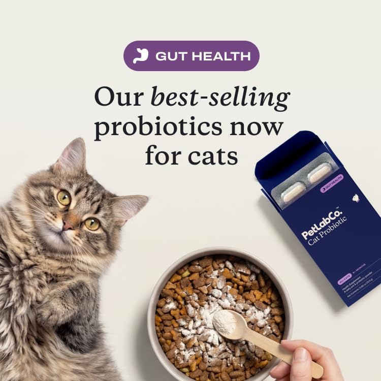 PetLab Co. cat probiotics bottle shows premium ingredients for digestive support