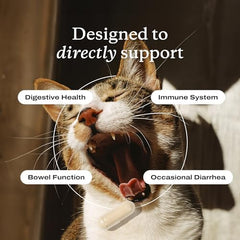PetLab Co. cat probiotics capsules daily use for easy routine