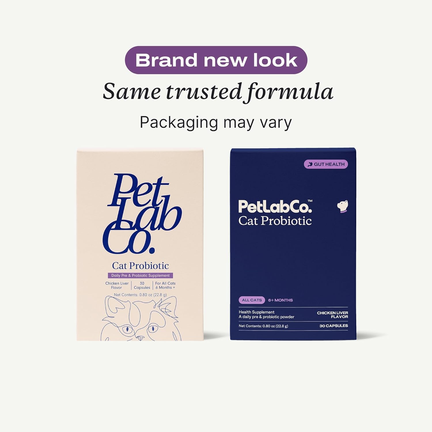 PetLab Co. cat probiotics with chicken liver flavor shown in a bowl appeals to picky eaters