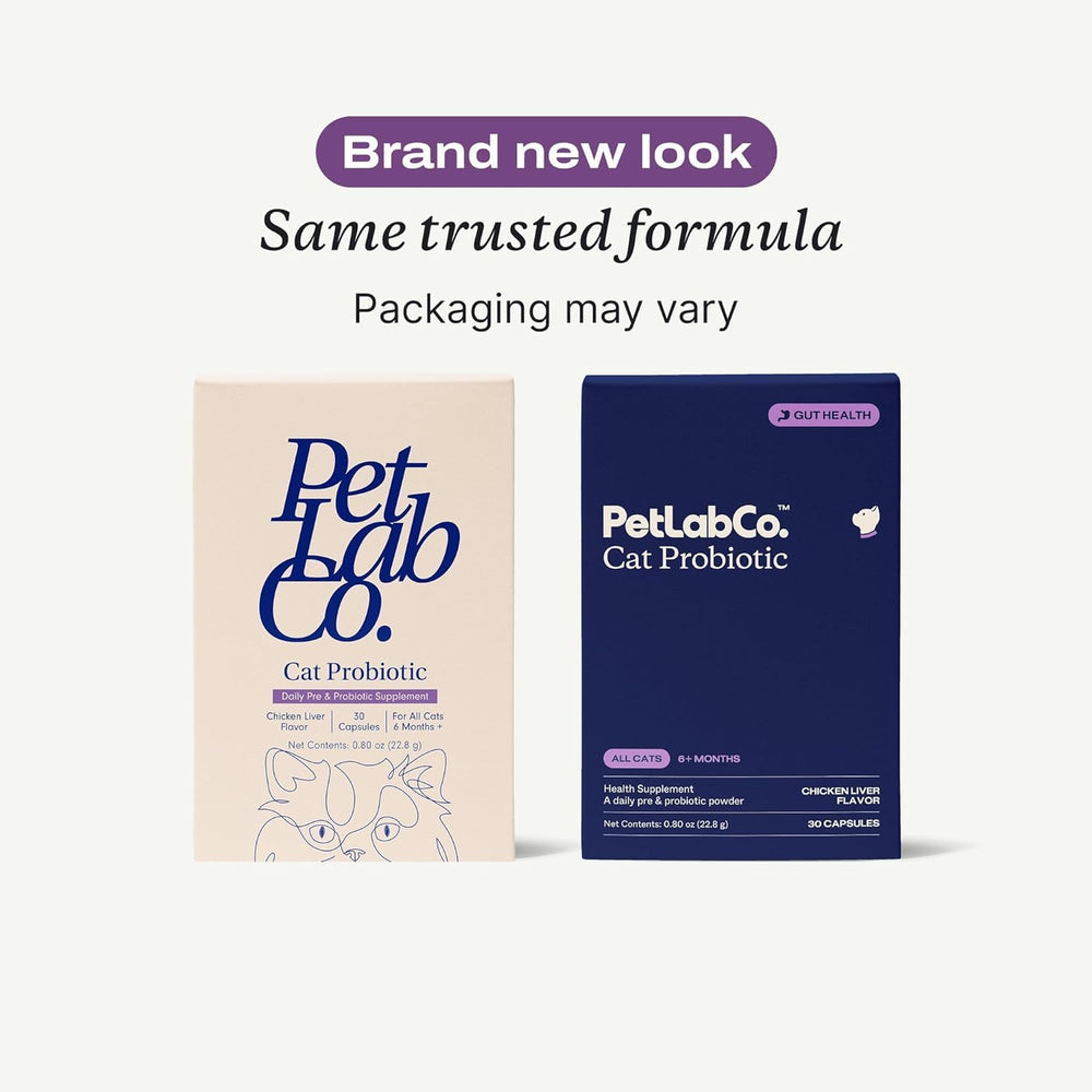 PetLab Co. cat probiotics with chicken liver flavor shown in a bowl appeals to picky eaters
