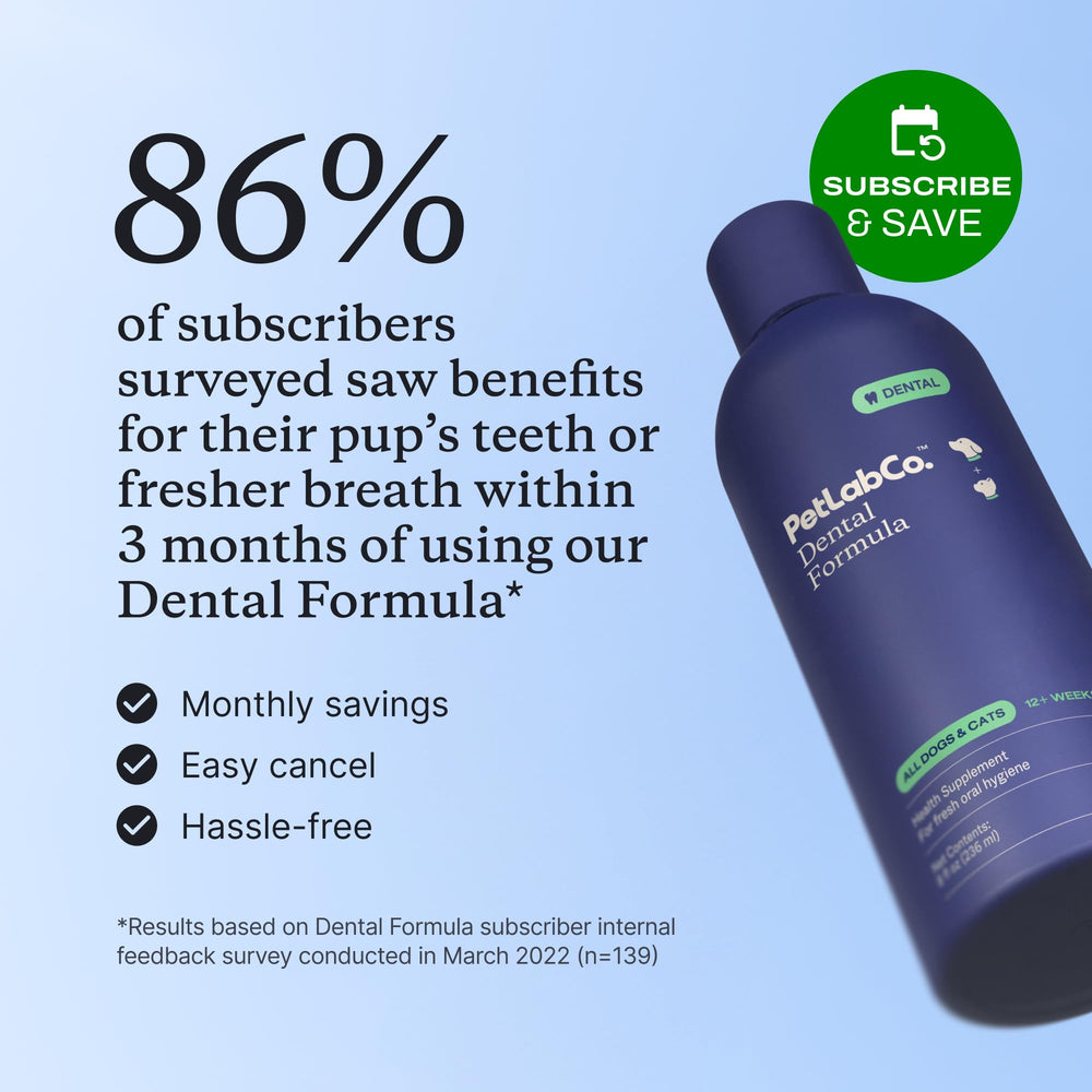 PetLab Co. modern dental care without toothpaste, easy to use daily