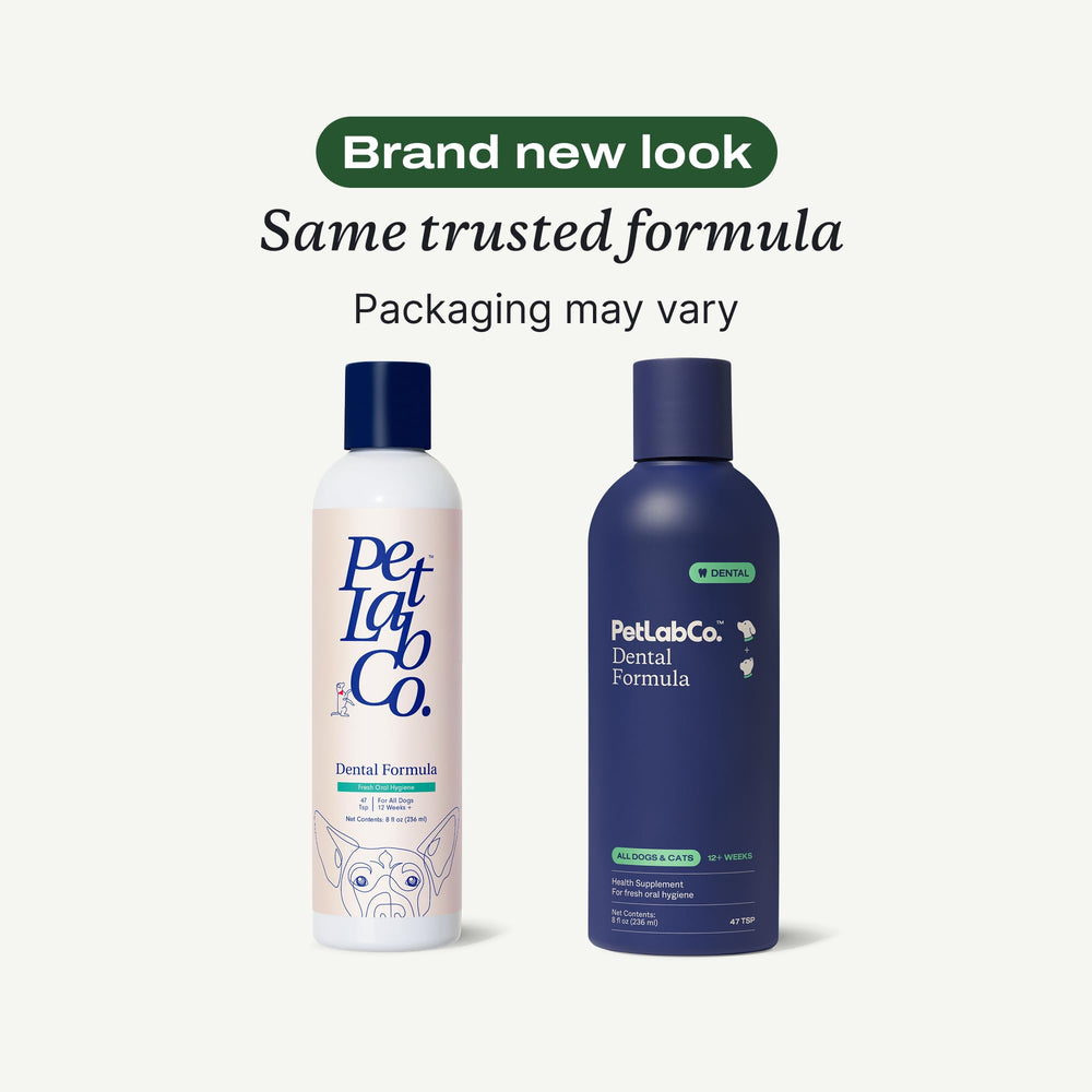 PetLab Co. dental formula bottle closeup showing tasteless daily oral care
