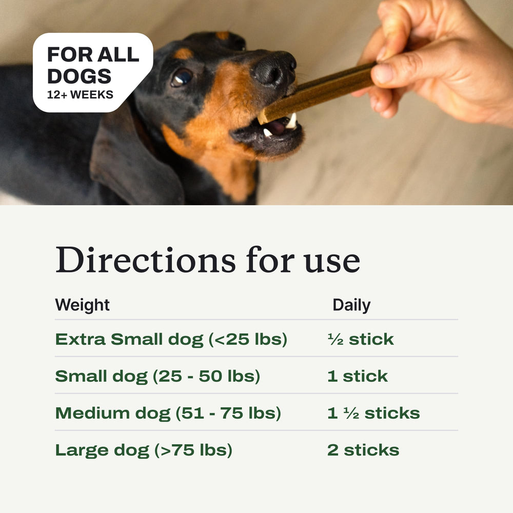 PetLab Co Dental Sticks tub opened showing texture and crunchy consistency