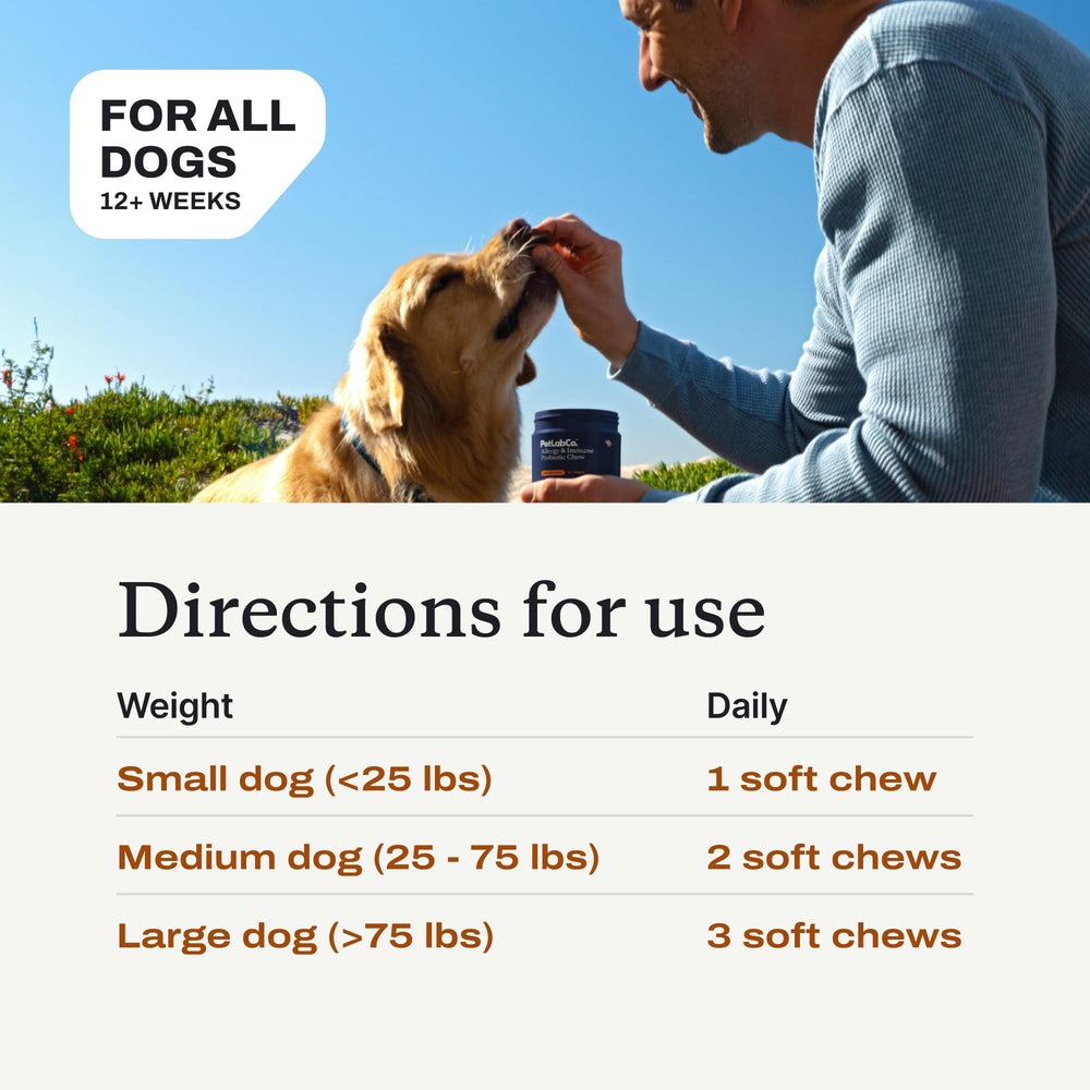 Dog enjoys a chew as part of daily routine.