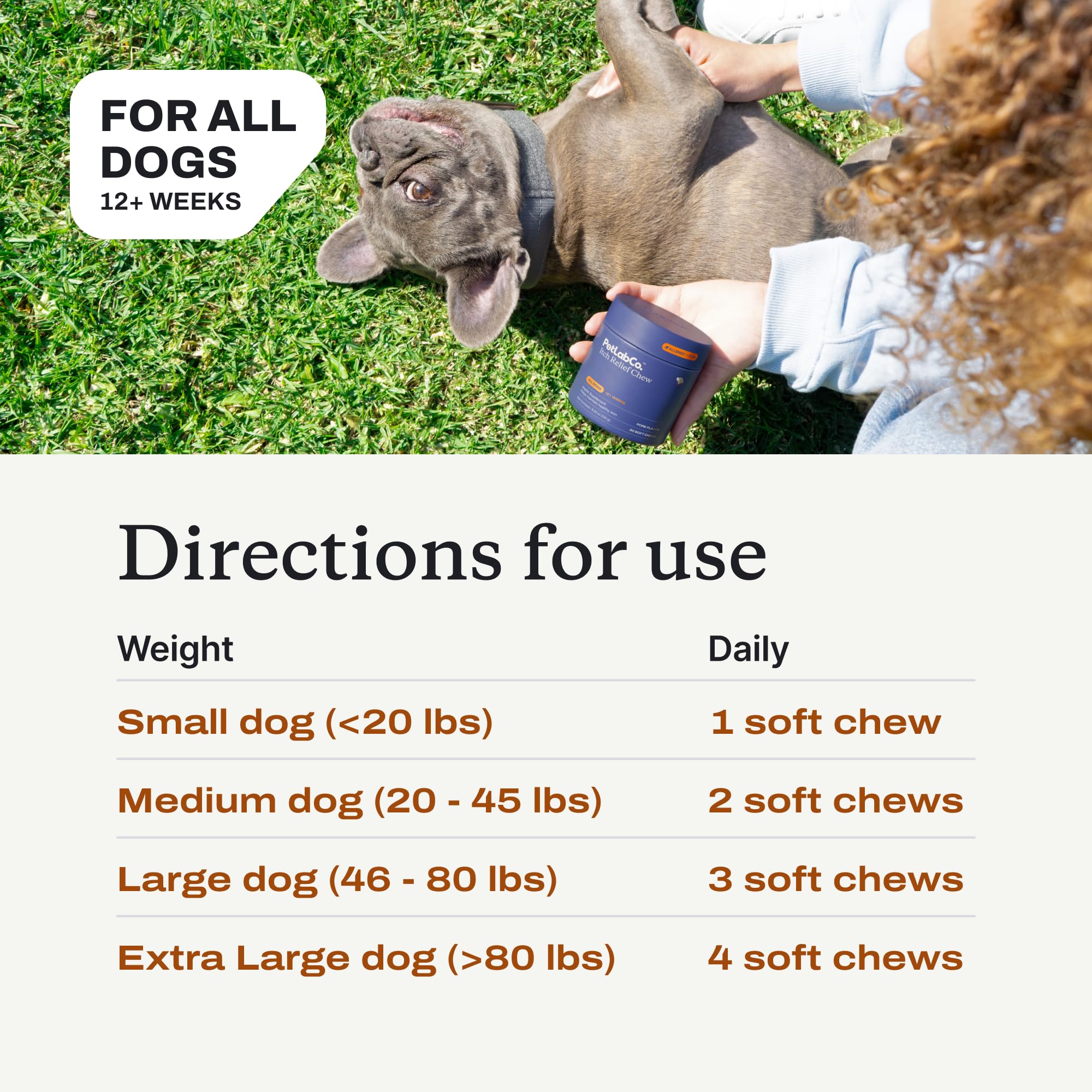 PetLab Co Itch Relief Chews dog enjoying a chew during downtime.