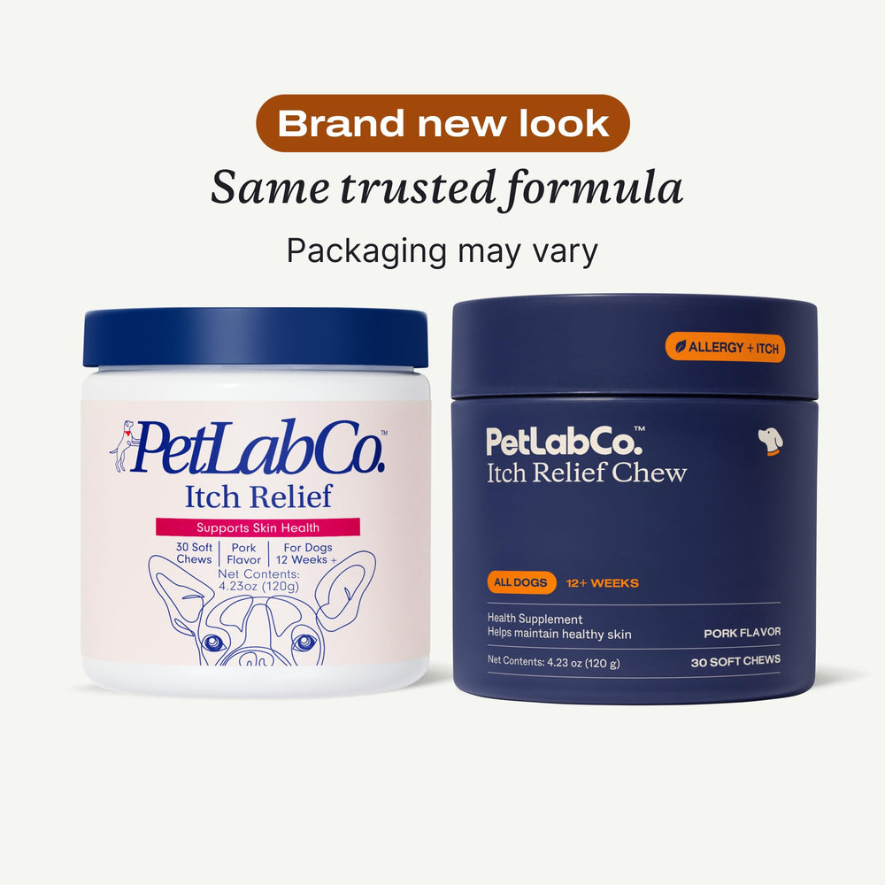 PetLab Co Itch Relief Chews open pack with treats for coat health.