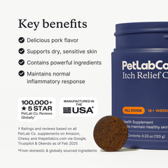 PetLab Co Itch Relief Chews turmeric and honey ingredients for balance.
