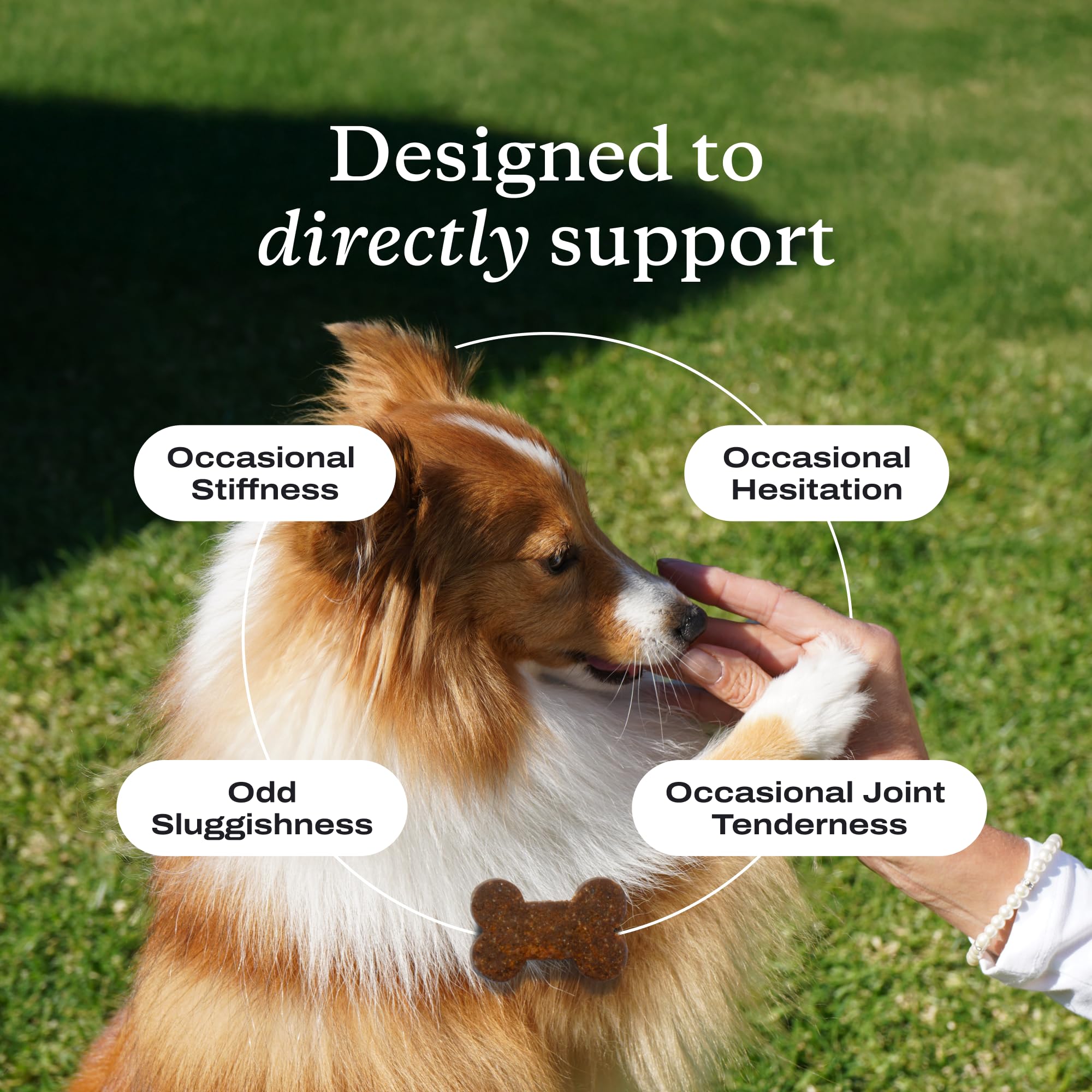 PetLab Co Joint Care chews pork flavor close-up emphasizes palatability.