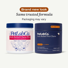 PetLab Co Omega-3 dog supplement with anchovy oil for healthier skin and coat.